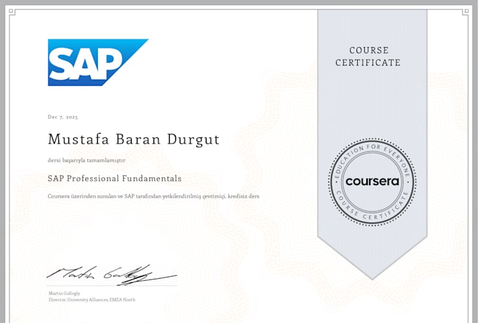 provide sap erp consulting and production process mapping